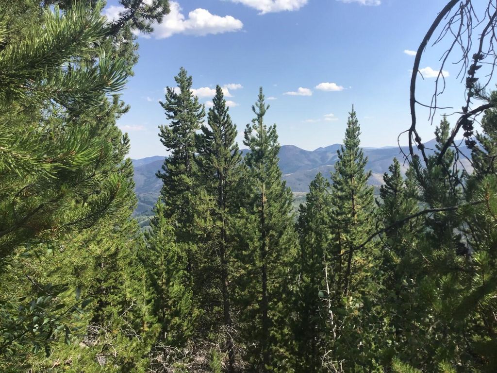 Lot20A Clear Creek Trl, Anaconda, MT 59711 Trulia