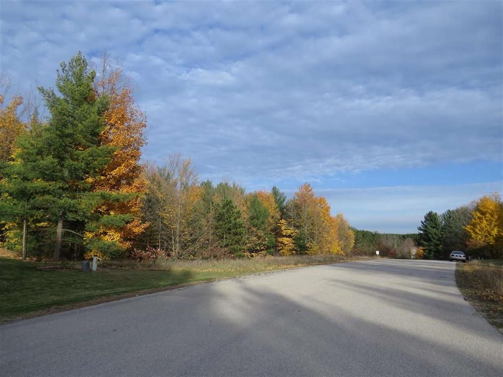 Lot 98 Eden St, Kingsley, MI 49649 MLS 78080002392 Trulia