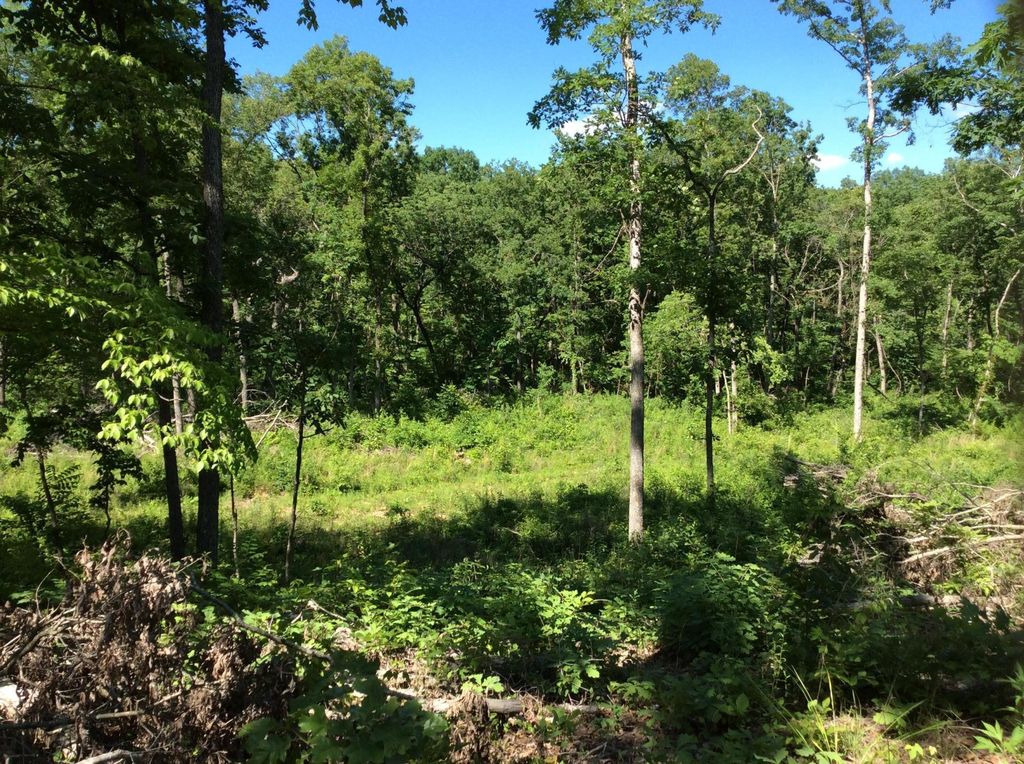 Tbd Emery Rd, Bucyrus, MO 65444 Trulia