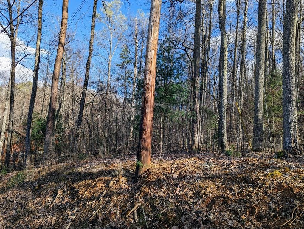 Shagbark hickory Rdg, Sevierville, TN 37862 MLS 256266 Trulia