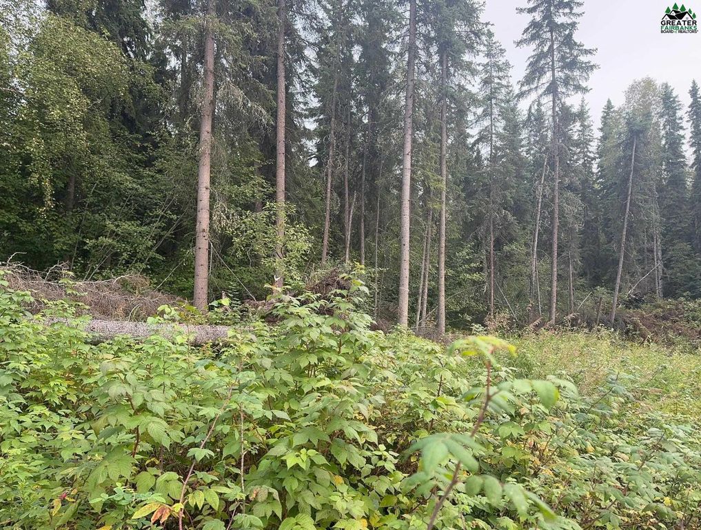 285 Terrace Dr, Fairbanks, AK 99712