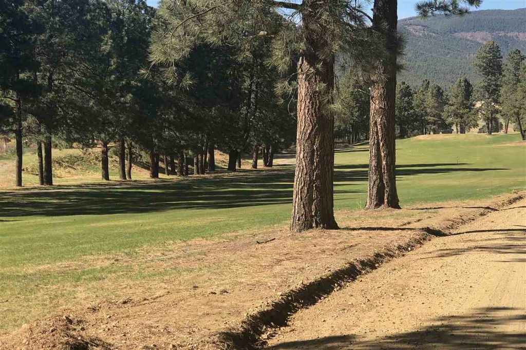 28 Pendaries Village Ln, Rociada, NM 87742 Trulia