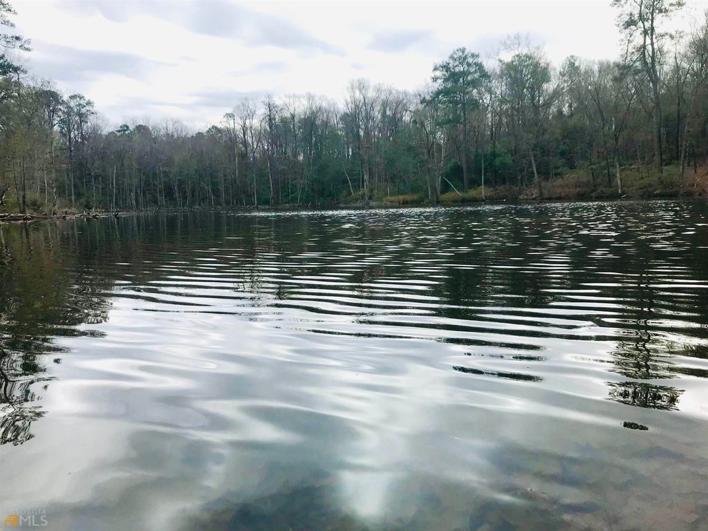 High Way 137, Buena Vista, GA 31803 Trulia