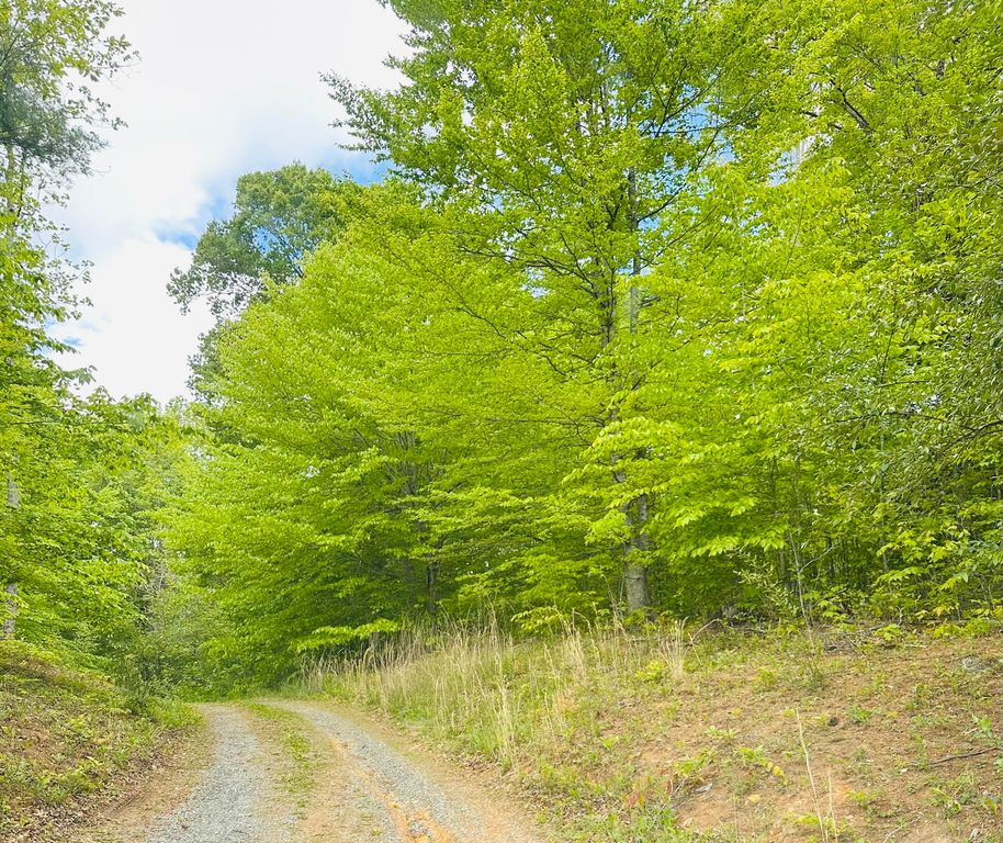 Clearwater Lodge Rd 0, Natural Bridge Station, VA 24579 Trulia