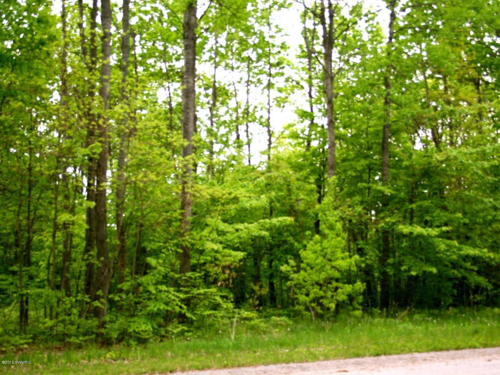 11451 Prasada Dr NE, Sparta, MI 49345 Trulia