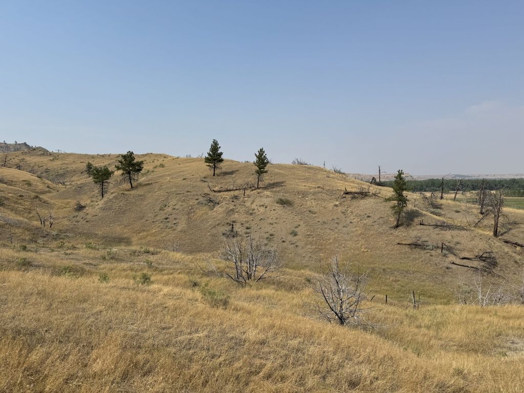 Blood Creek Rd, MT 59087 Lot/Land for Sale MLS 11341748