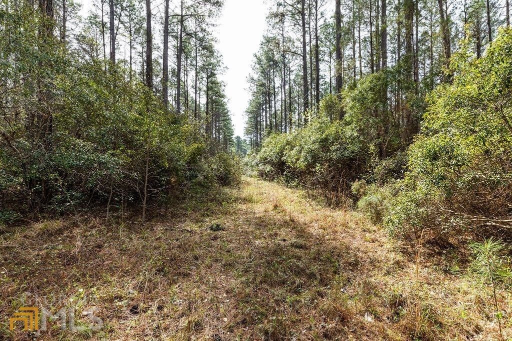 Sisters Ferry Rd, Clyo, GA 31303 Trulia