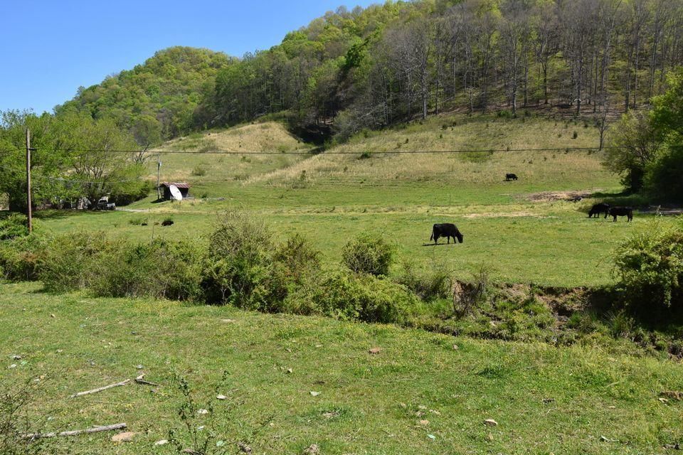 111 Back Valley Rd, Sneedville, TN 37869 Trulia