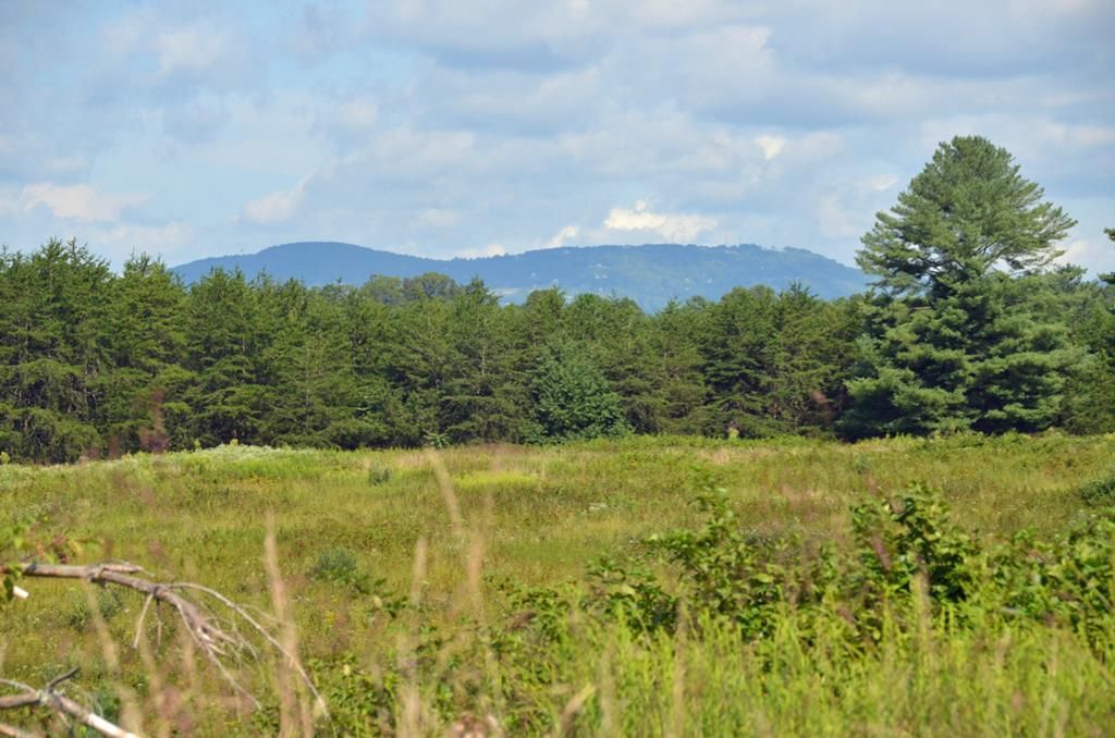 1110 Wards Gap Rd, Cana, VA 24317 Trulia