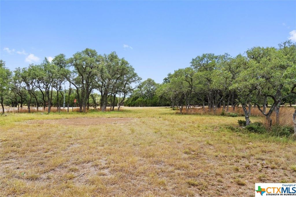 618 Cielo Springs Dr, Blanco, TX 78606 MLS 479527 Trulia