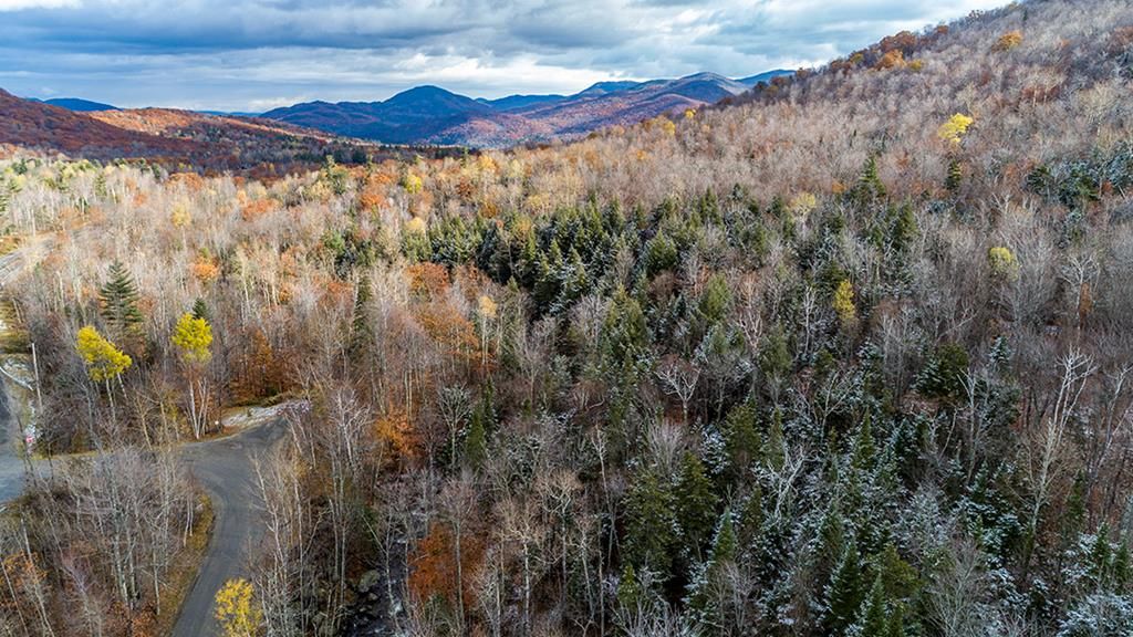 Pitchoff Way, Keene, NY 12942 Trulia