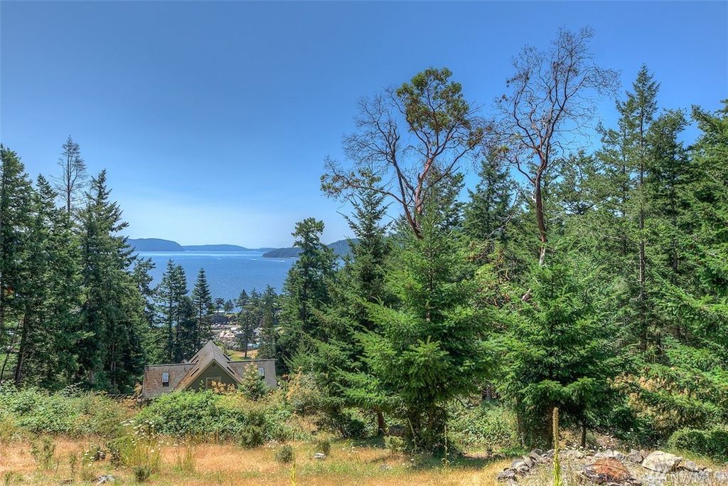 118 Cascade Way, Eastsound, WA 98245