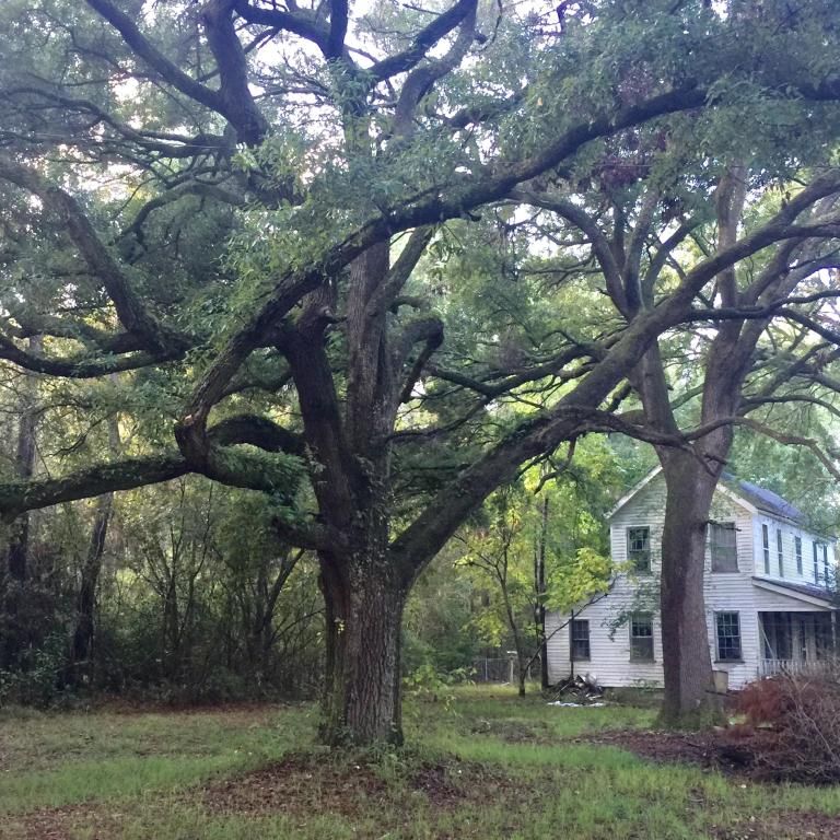 7324 Sidneys Rd, Round O, SC 29474 Trulia