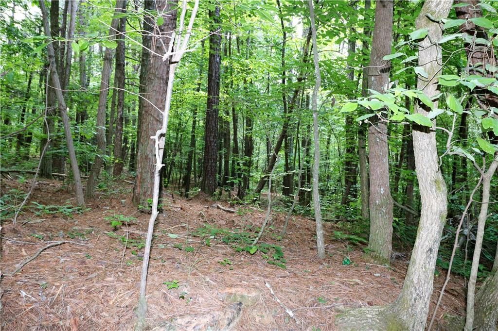 E Cochran Rd SE, Ranger, GA 30734 Trulia