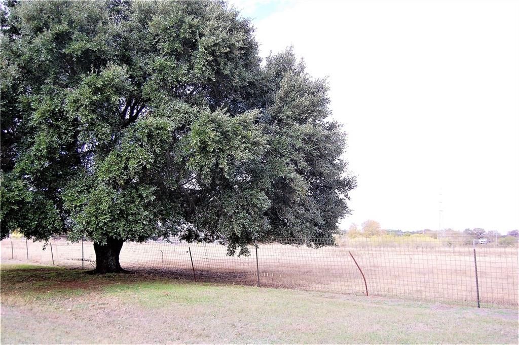 Live Oak Rd, Lexington, TX 78947