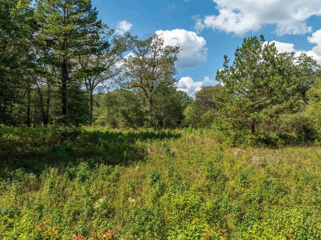 Military Road Ptseserockprtcyanexhscty, Malvern, AR 72104 MLS