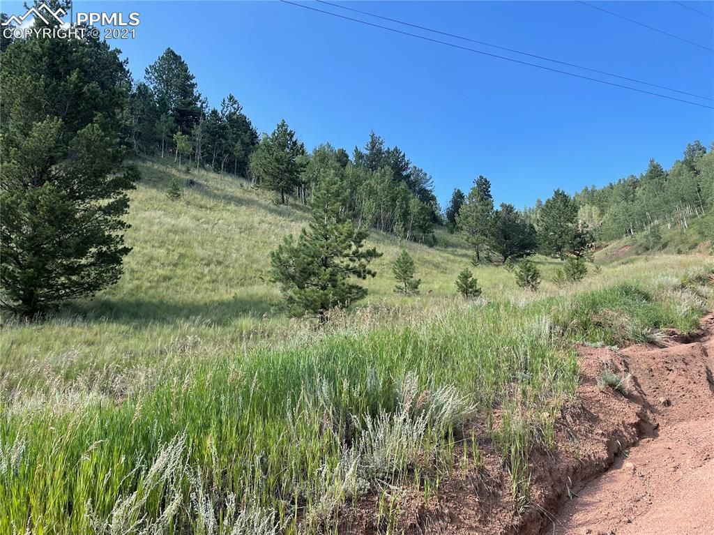 113 Beaver Pond Rd, Divide, CO 80814 Trulia
