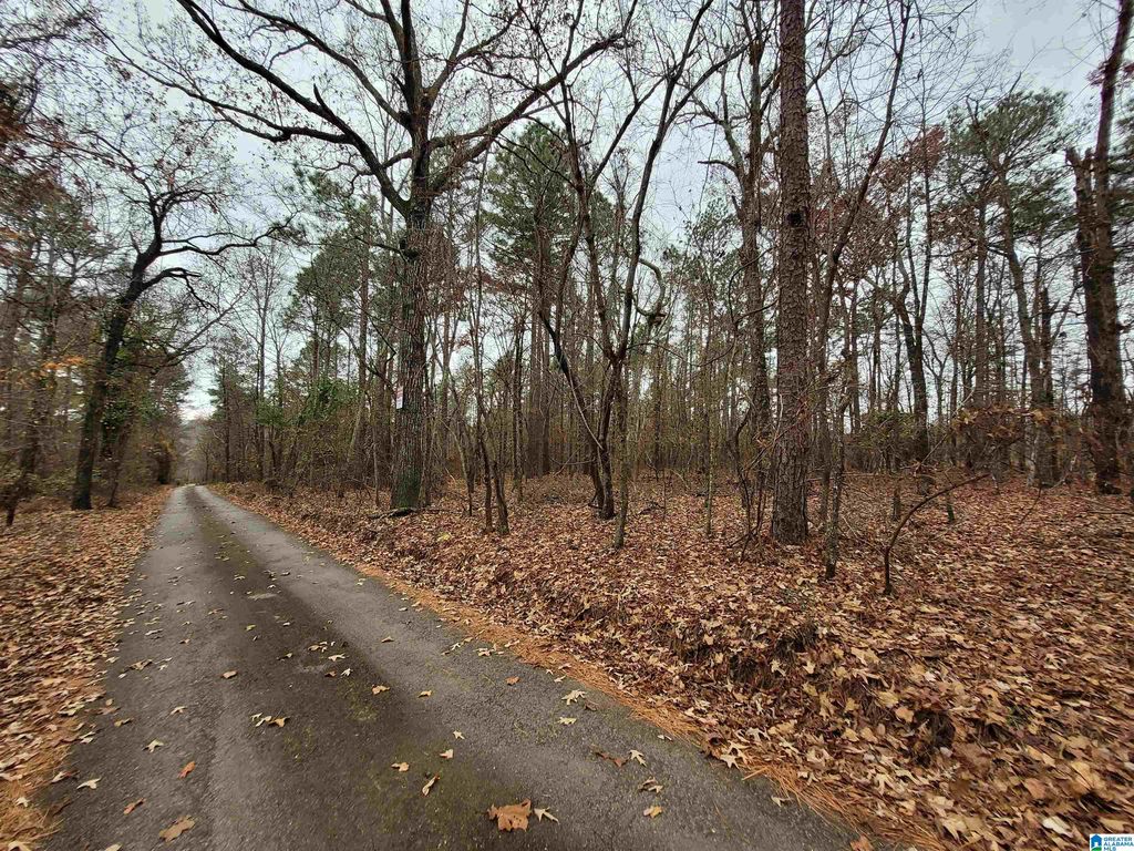 Mountain Top Dr 1, Green Pond, AL 35074 Trulia