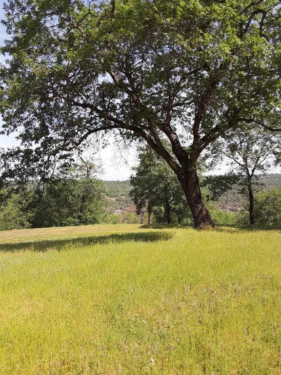 6680 Butterfield Way, Placerville, CA 95667