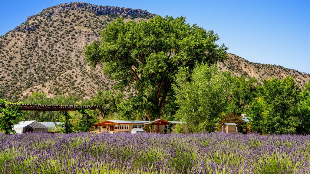 Solar Lavender Farm Private Dr - 582a09414185d032da3fdbb4c2d535bc Full
