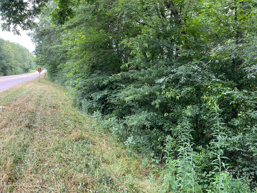 Highway 35 N, Forest, MS 39074 Trulia