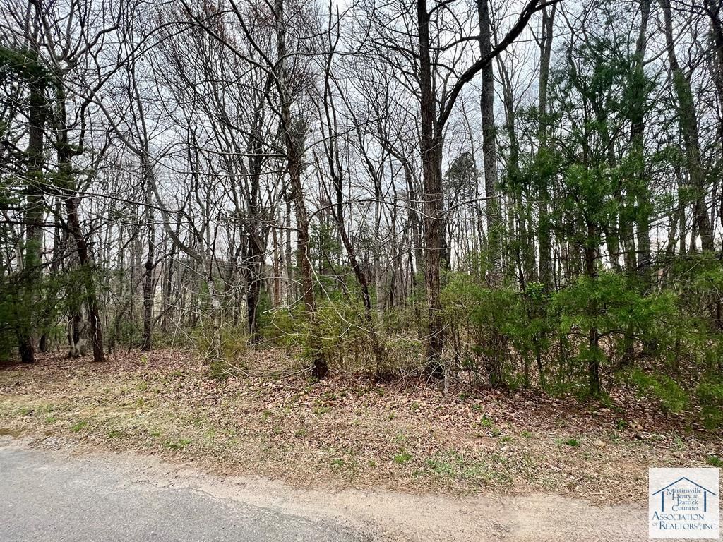 Tbd Wildwood Acres Cir, Patrick Springs, VA 24133 MLS 141283 Trulia