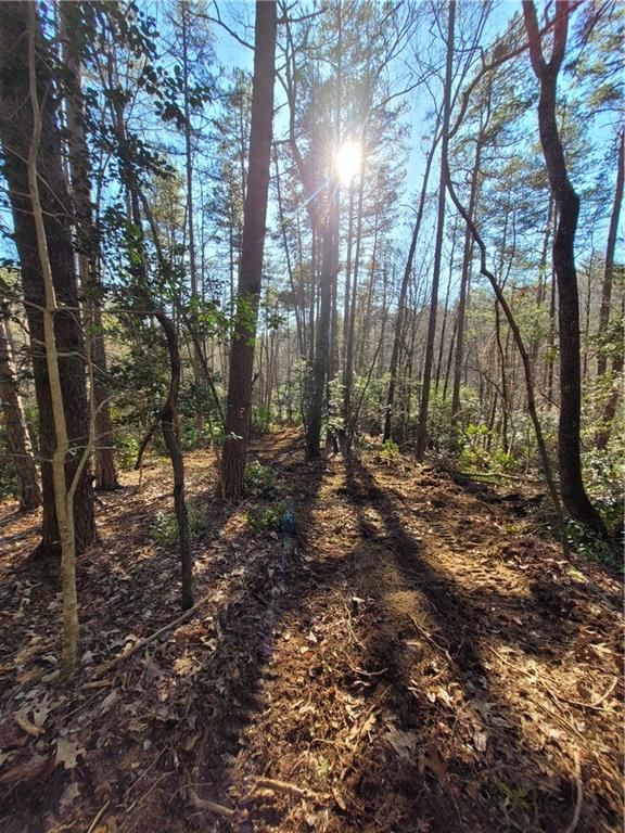 10 Etowah River Campground Rd, Dahlonega, GA 30533 Trulia