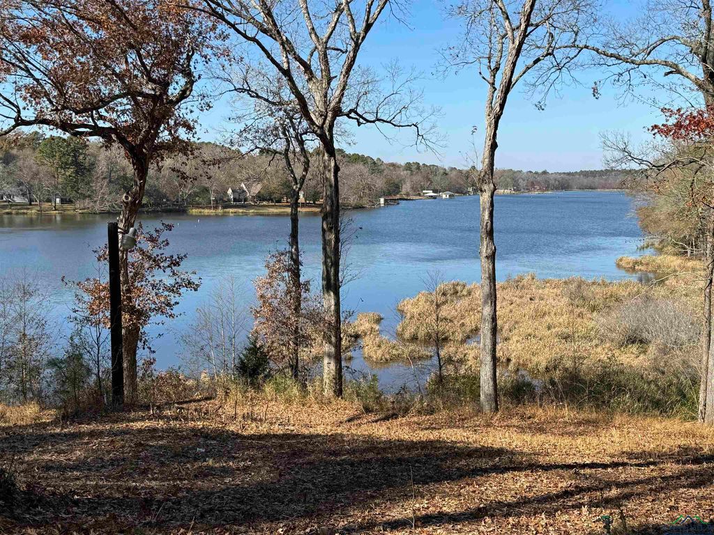 3089 E Lake Dr, Gladewater, TX 75647 MLS 20237306 Trulia