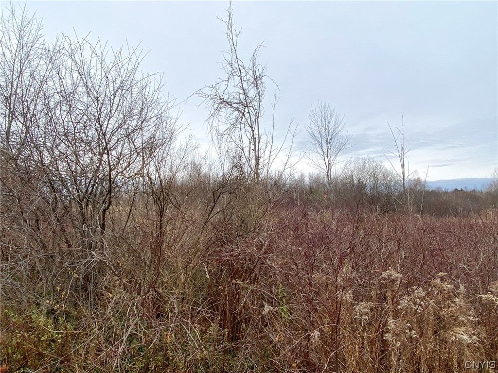 Glass Factory Rd 16, Holland Patent, NY 13354 MLS S1506713 Trulia