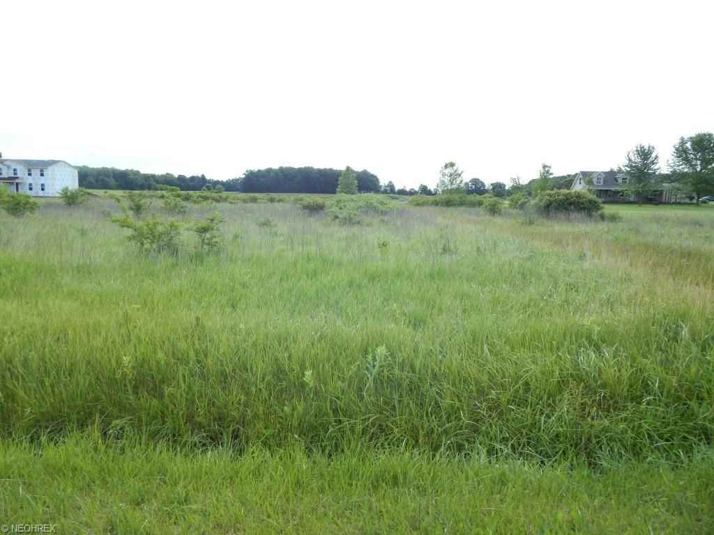 Gore Orphanage Rd, Amherst, OH 44001 Trulia