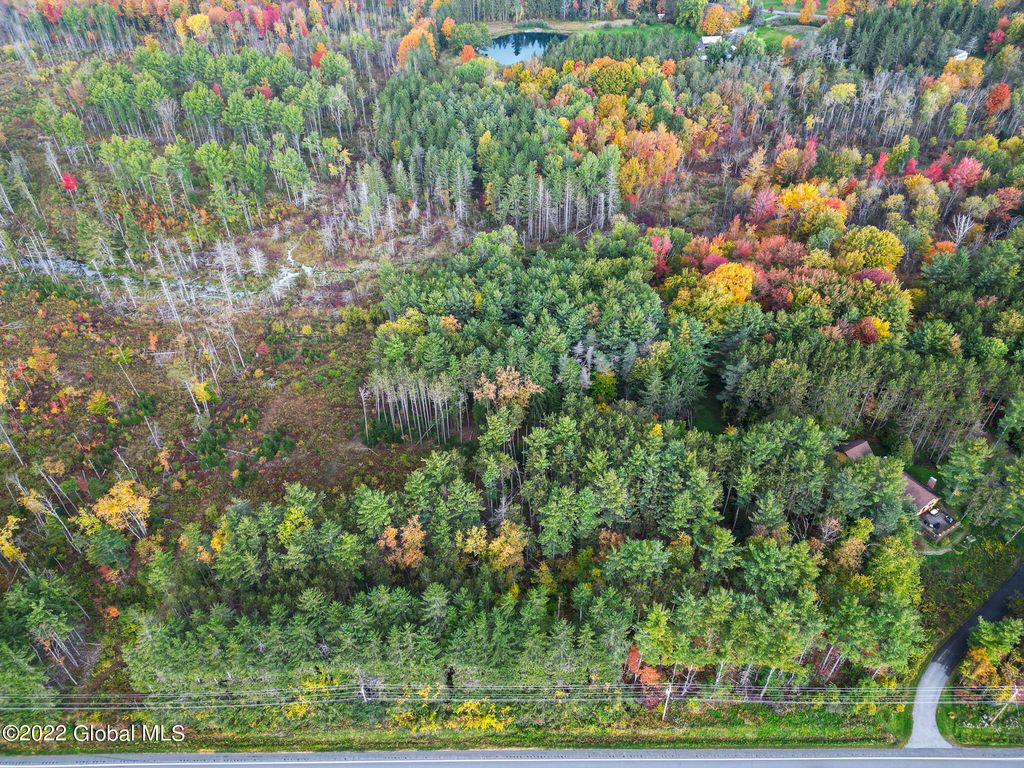 L33.1 Western Turnpike, Delanson, NY 12053 Trulia