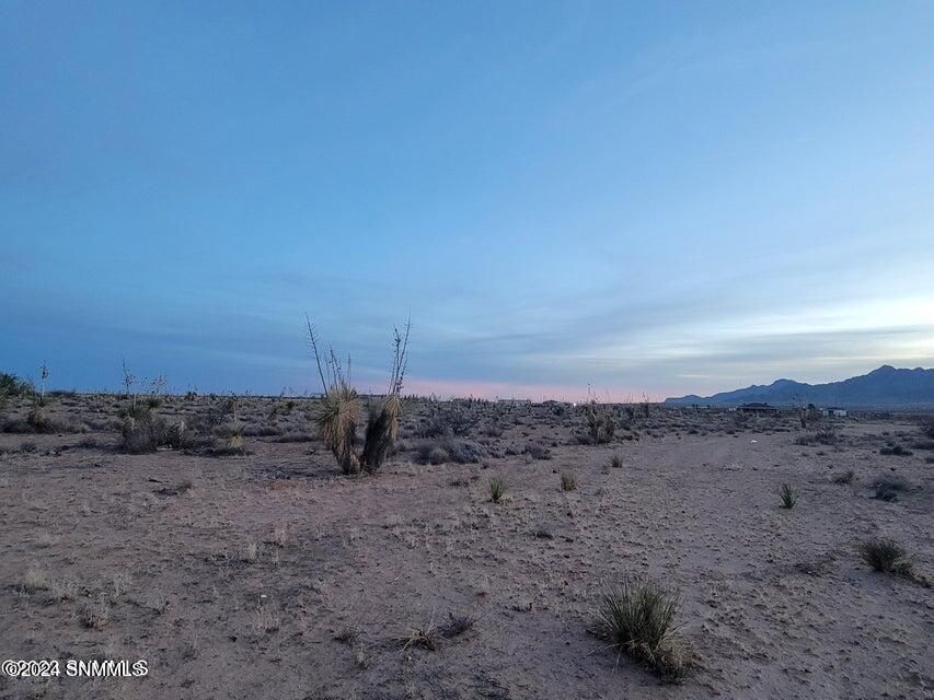 1768 Javelina St, Chaparral, NM 88081 MLS 2401131 Trulia