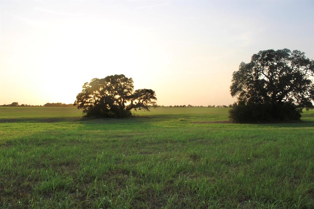 Tba Tract Tappe Rd #III, Brenham, TX 77833