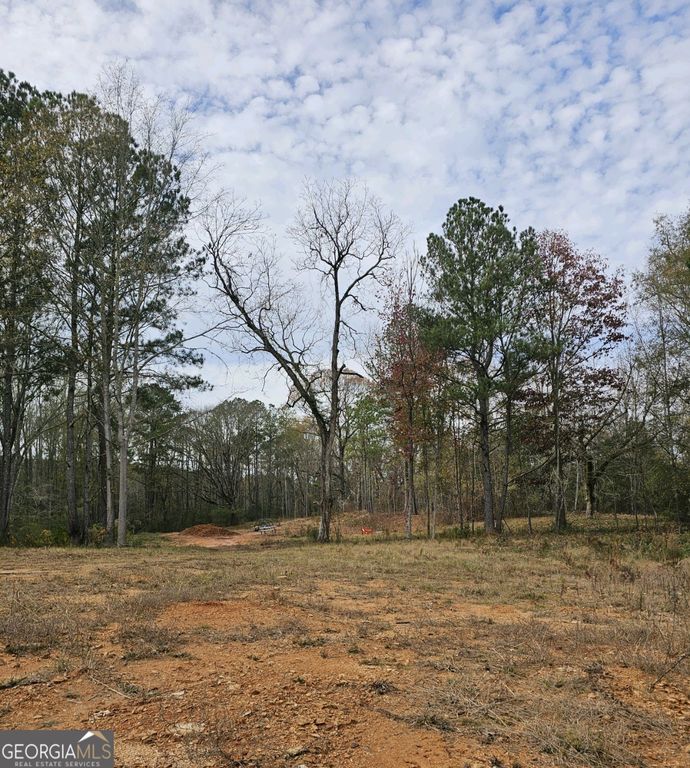 Pine Valley Rd 5, Meansville, GA 30256 MLS 10217641 Trulia