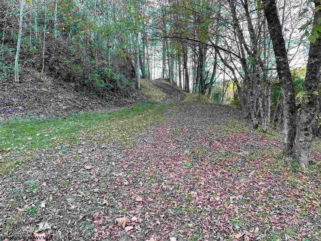 Crooked Run Rd, Alum Bridge, WV 26321 Trulia