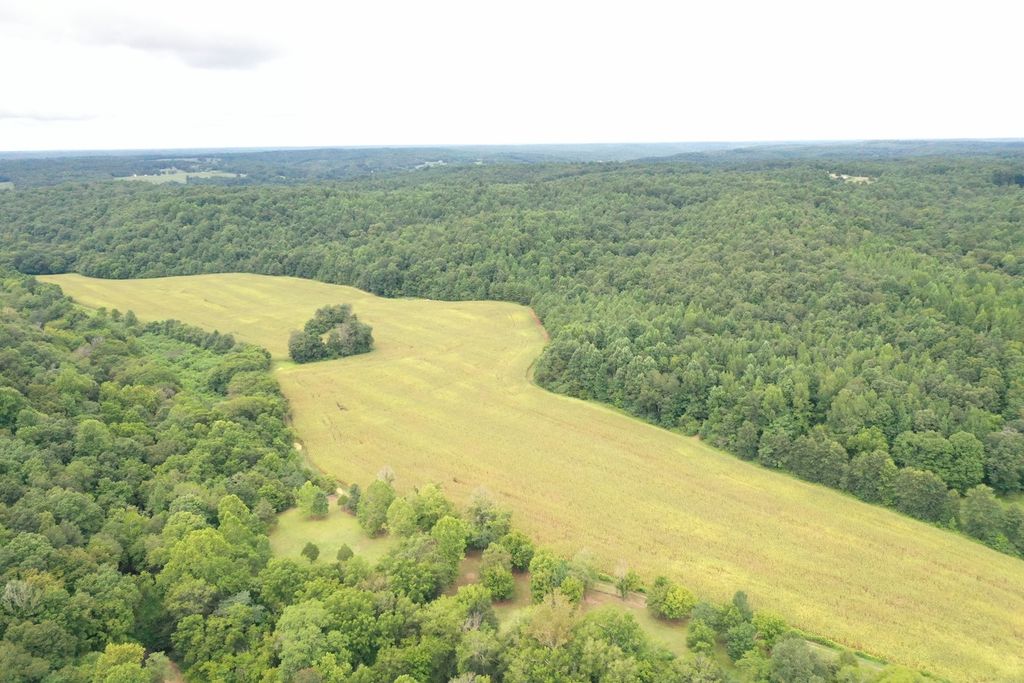 Greenhill Rd, Iron City, TN 38463 Trulia