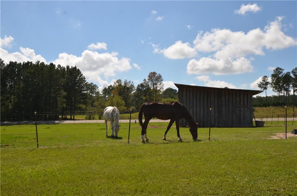 2433 County Road 54 E, Notasulga, AL 36866 Trulia