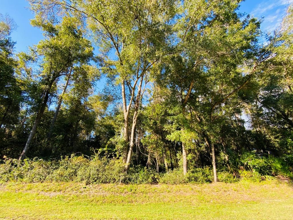 Lot 59 73rd St, Chiefland, FL 32626 Trulia