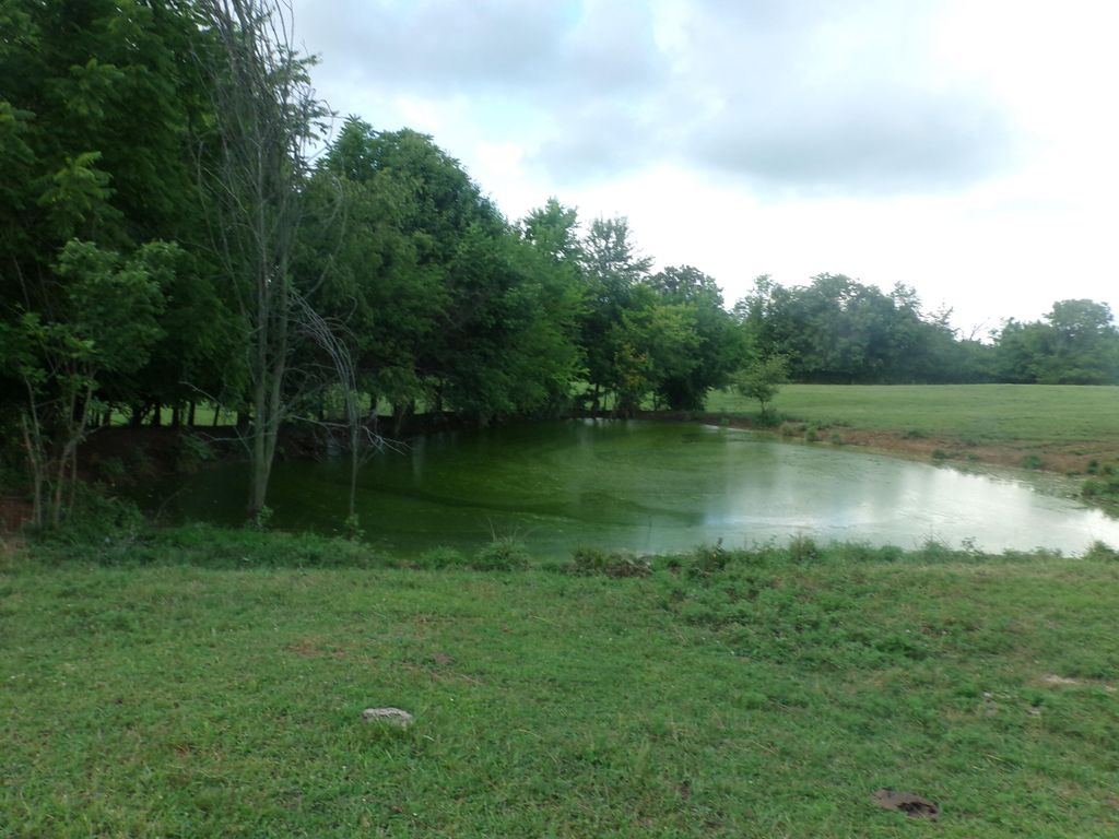 118 Shawhan Rd, Paris, KY 40361 Trulia