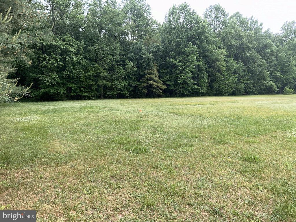 Lot 5 Reynolds Pond Rd, Ellendale, DE 19941 Lot/Land for Sale MLS