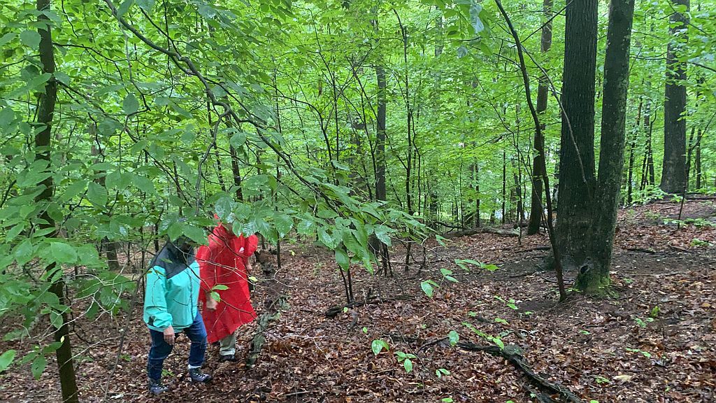 Off Of Smith Rd, Charleston, WV 25314 Trulia