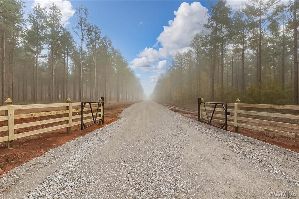 Lot 5 County Road 21, Moundville, AL 35474 Trulia