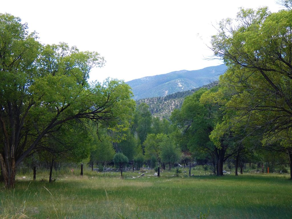 1st, Poncha Springs, CO 81242 Trulia