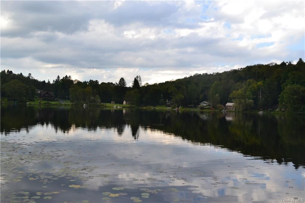 TBD Trout Brook Road, Fremont center, NY 12736 Trulia