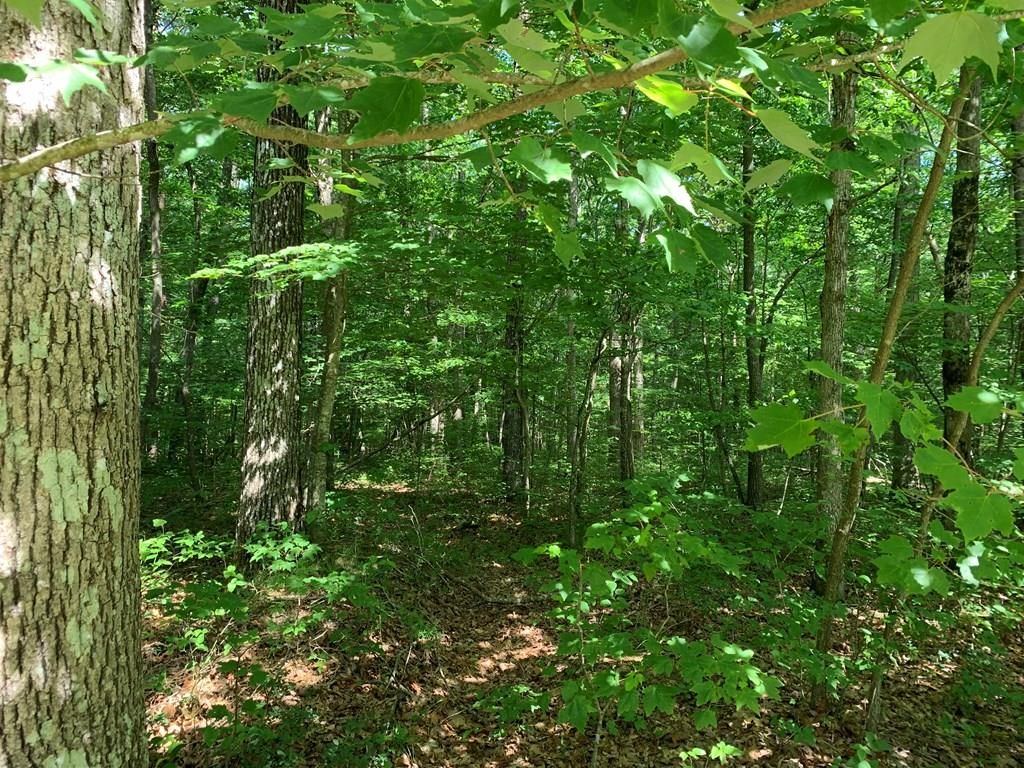 Hawks bluff Rd, Spencer, TN 38585 Trulia