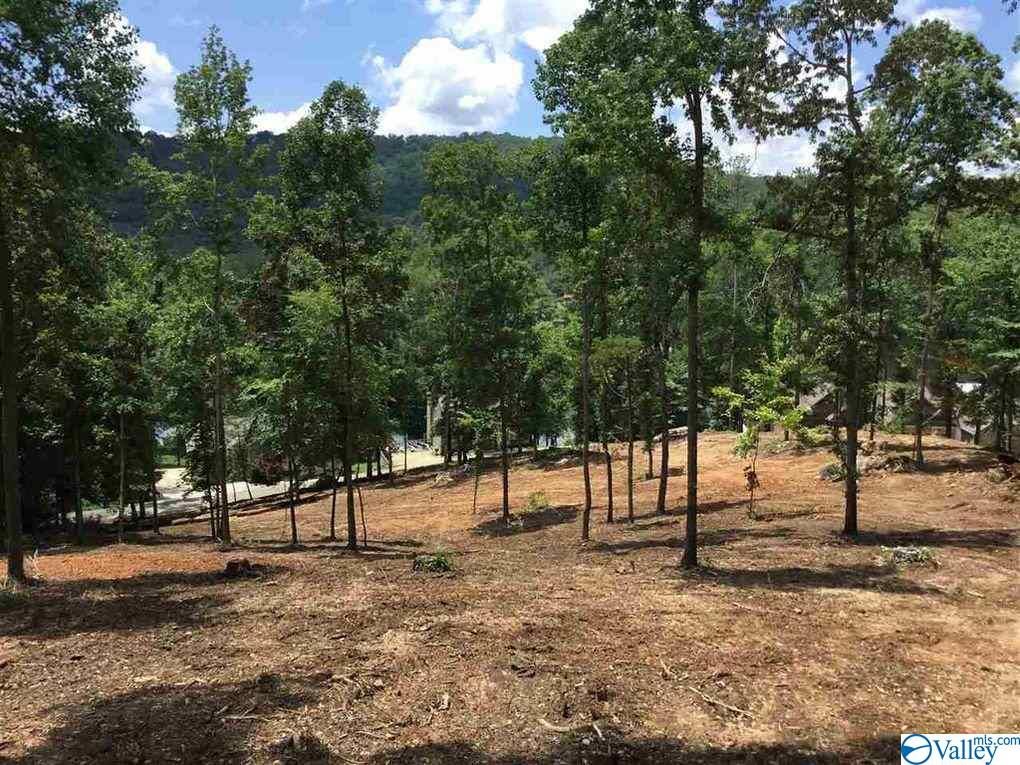 5 White Elephant Rd, Grant, AL 35747 Trulia