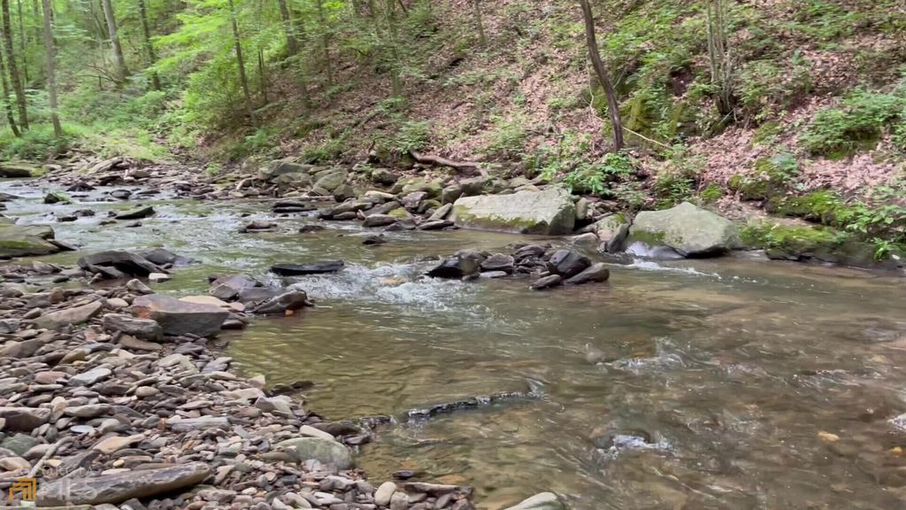 228 Andes Rdg, Ellijay, GA 30536 Trulia