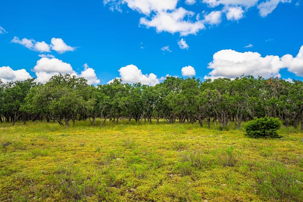 8 Legacy Oaks Dr, Harper, TX 78631 Trulia