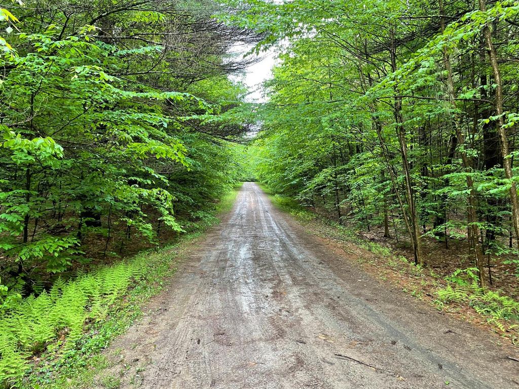 Mary Ln, Laurens, NY 13796 Trulia