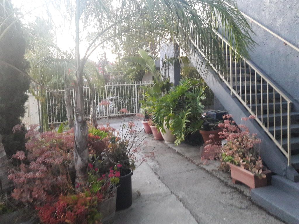 4137 Chevy Chase Dr, Los Angeles, CA 90039
